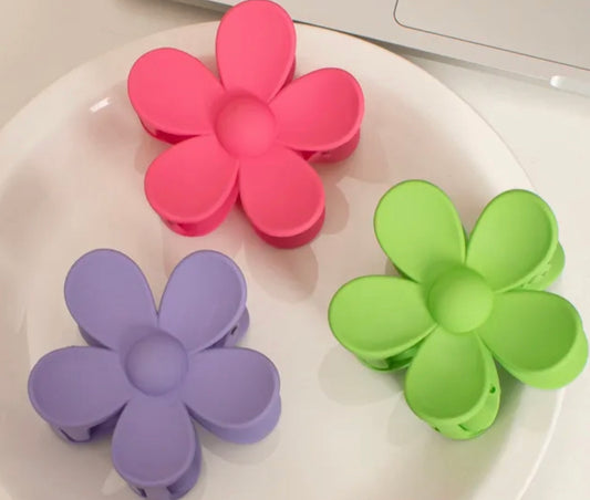 Pince Ă cheveux warda